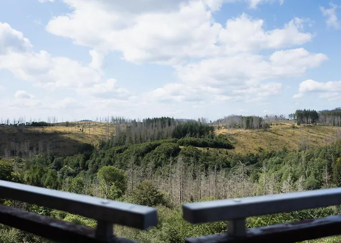 Morgenrot Lodge, Im Harz, Mit Schwimmbad Und Sauna